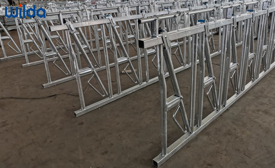 Galvanized Custom Cattle Dairy Headlocks Farming Equipment cattle feeder
