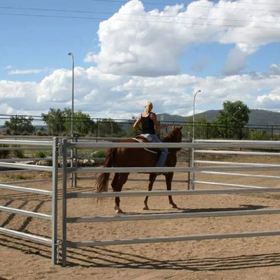 Farm Gate Galvanized Livestock Fencing GB DIN 1m-12m Q195 Q345