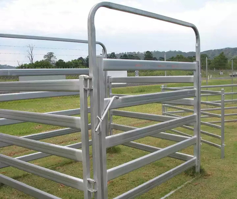 CE ISO Portable Livestock Fence Panels API Gi PE Coated Round Square Oval