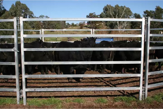 CE ISO Portable Livestock Fence Panels API Gi PE Coated Round Square Oval