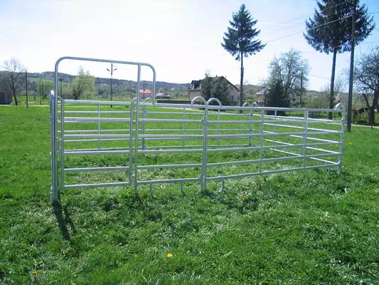 Welded Galvanized Pipe Fence Panels A53 Steel Pipe Fence Panels