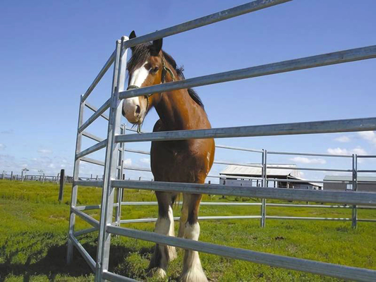 Melbourne Ranch API Pipe Tube Cattle Panels 1.8mx2.1m Round