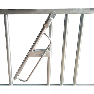 Hot Galvanized Cattle Headlock Panels 12ft Powder Coated 1.6m High