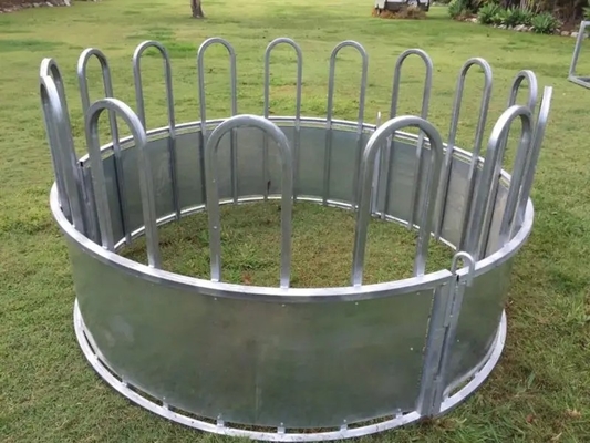 50*40*3mm Square Tube Cow Headlock 0.9m High ABS PP Steel For Horse Stable