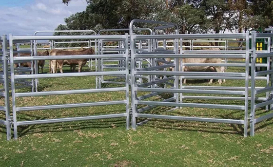 Welded Galvanized Pipe Fence Panels A53 Steel Pipe Fence Panels